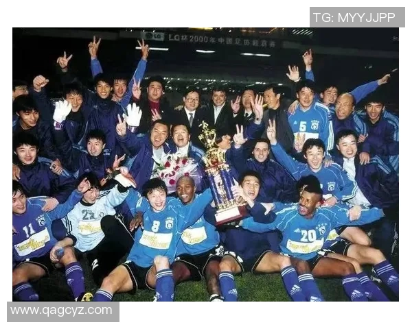 足球明星风采全景展示各大球员简介与精彩瞬间汇聚