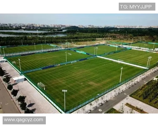 体育馆场地周边交通管理与优化策略研究及实施效果分析