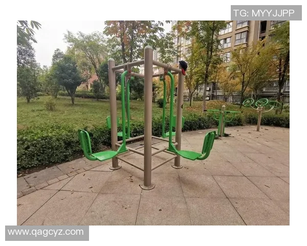 健身体育器材市场发展趋势分析与未来机遇探讨