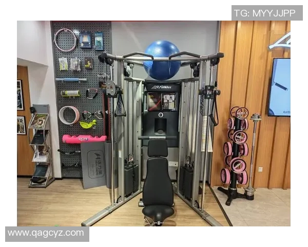 全面解析体育健身器材及其图片展示助你选择适合的健身装备