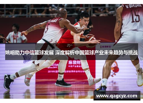 姚明助力中信篮球发展 深度解析中国篮球产业未来趋势与挑战