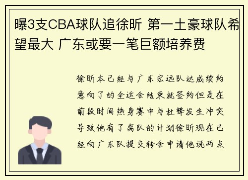 曝3支CBA球队追徐昕 第一土豪球队希望最大 广东或要一笔巨额培养费